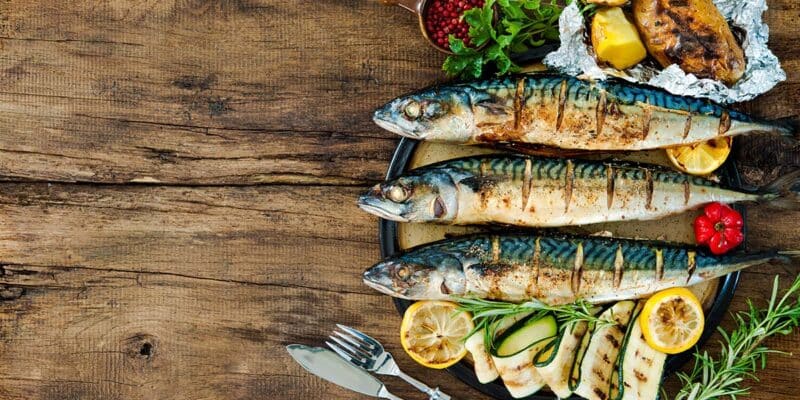 Makreel Vetgoed: waarom is er zoveel aandacht voor deze vette vis?