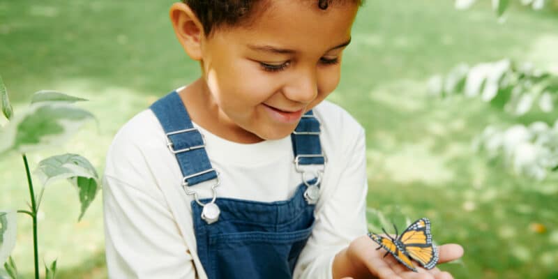 Waarom omega-3 ook in het voorjaar onmisbaar is: van hooikoorts tot onrust